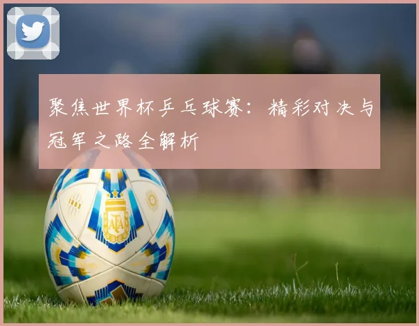 聚焦世界杯乒乓球赛:精彩对决与冠军之路全解析