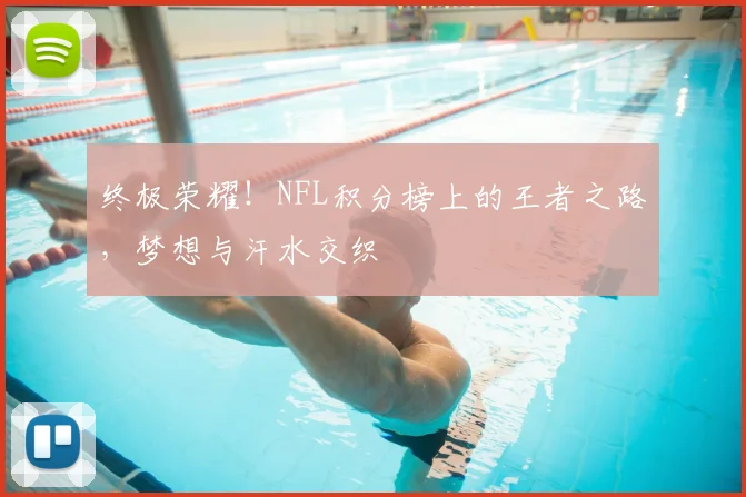 终极荣耀!NFL积分榜上的王者之路,梦想与汗水交织